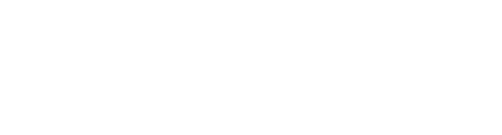 Logo Chemik en blanco