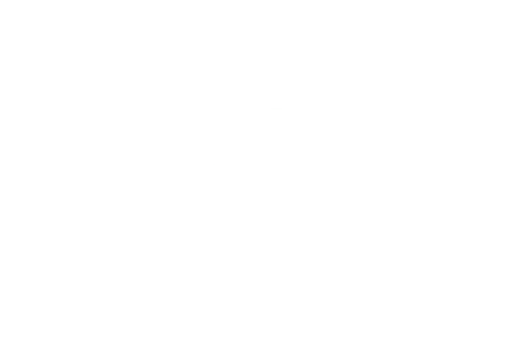 Logo Ecoadvance en blanco